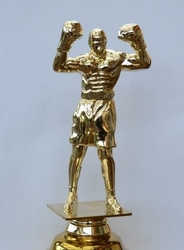 Boxerský pohár Coimbra 55 - 76 cm