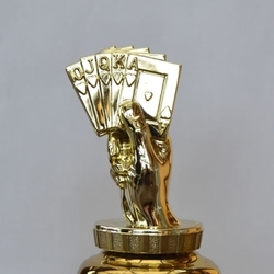 Karetní pohár Illinois 31 - 48 cm