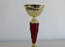 Sportovní pohár 2.místo Maribor 31 - 47 cm
