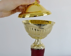 Sportovní pohár 2.místo Maribor 31 - 47 cm