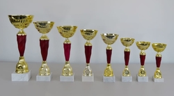 Sportovní pohár 2.místo Maribor 31 - 47 cm