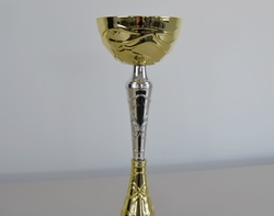 Florbalový pohár Palawan 31 - 48 cm