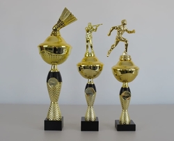 Pohár karate Nimes 32 - 39 cm