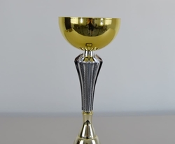 Sportovní pohár 2.místo Bali 41 - 51 cm