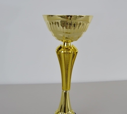 Florbalový pohár Arras 40 - 53 cm