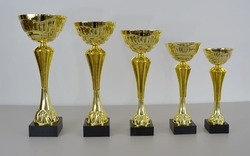 Florbalový pohár Arras 40 - 53 cm
