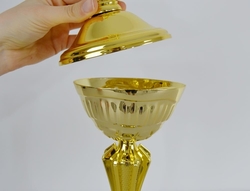 Sportovní pohár 2.místo Arras 40 - 53 cm