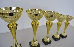 Sportovní pohár 3.místo Arras 40 - 53 cm