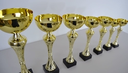 Pohár karate Rimini 37 - 54 cm