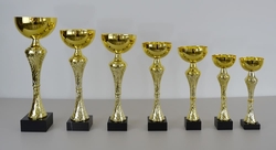 Pohár karate Rimini 37 - 54 cm