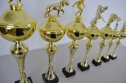 Pohár karate Rimini 37 - 54 cm