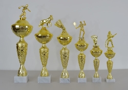 Pohár karate Jakarta 31 - 52 cm
