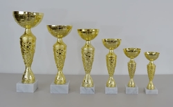 Sportovní pohár 2.místo Jakarta 28 - 49 cm