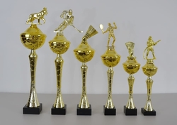 Pohár Karate Perth 34 - 50 cm