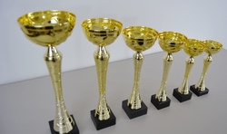 Sportovní pohár 2.místo Perth 31 - 47 cm