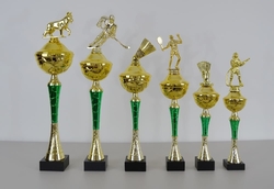 Pohár karate Brisbane 34 - 50 cm