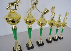 Pohár karate Brisbane 34 - 50 cm
