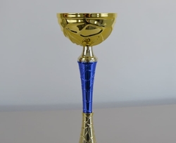 Sportovní pohár 2.místo Adelaide 31 - 47 cm