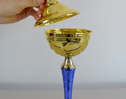 Sportovní pohár 2.místo Adelaide 31 - 47 cm