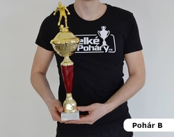 Jezdecký pohár Maribor 31 - 47 cm