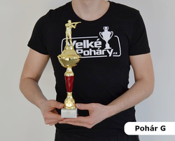 Sportovní pohár 2.místo Maribor 31 - 47 cm