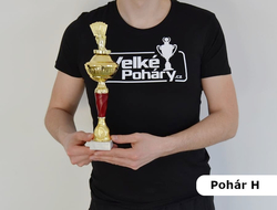 Sportovní pohár 2.místo Maribor 31 - 47 cm