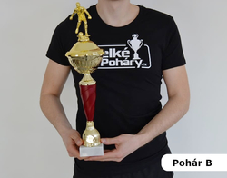 Sportovní pohár 2.místo Maribor 31 - 47 cm