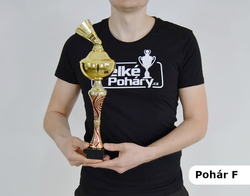 Jezdecký pohár Pula 34 - 51 cm