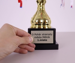 Střelecký pohár Graz 39 - 52 cm