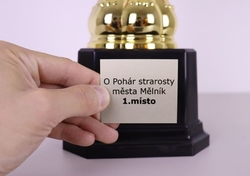 Fotbalový pohár III Mannheim 44 - 63 cm