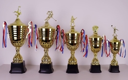 Pohár karate Mannheim 45 - 64 cm