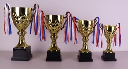 Sportovní pohár Trondheim 27 - 40 cm