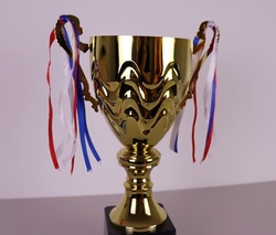 Sportovní pohár Trondheim 27 - 40 cm