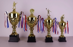 Volejbalový pohár Trondheim 43 - 58 cm