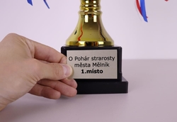 Sportovní pohár Trondheim 27 - 40 cm