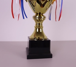 Sportovní pohár Trondheim 27 - 40 cm