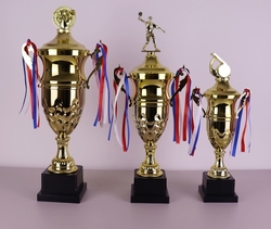 Sportovní pohár 2.místo Rennes 41 - 54 cm