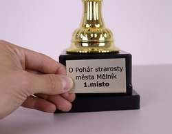 Tenisový pohár Rennes 46 - 59 cm