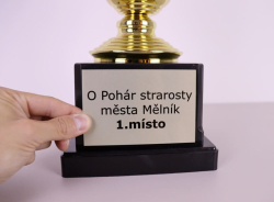 Kovový štítek k poháru Granada