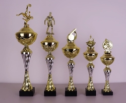Pohár Karate Wichita 35 - 52 cm