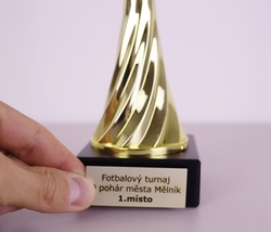 Hudební pohár Wichita 32 - 49 cm