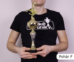 Hudební pohár Wichita 32 - 49 cm