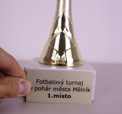 Motoristický pohár Brandon 28 - 49 cm