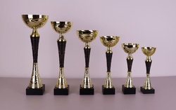 Sportovní pohár Illinois 21 - 36 cm