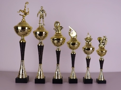 Cyklistický pohár Illinois 34 - 51 cm