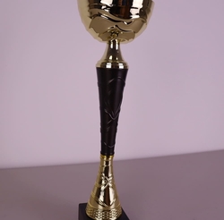 Sportovní pohár Illinois 21 - 36 cm