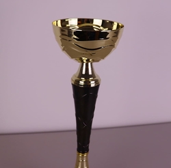 Sportovní pohár Illinois 21 - 36 cm