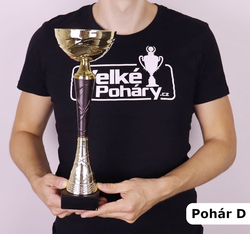Sportovní pohár Illinois 21 - 36 cm