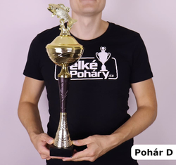 Sportovní pohár 2.místo Illinois 31 - 48 cm