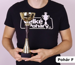 Sportovní pohár Illinois 21 - 36 cm